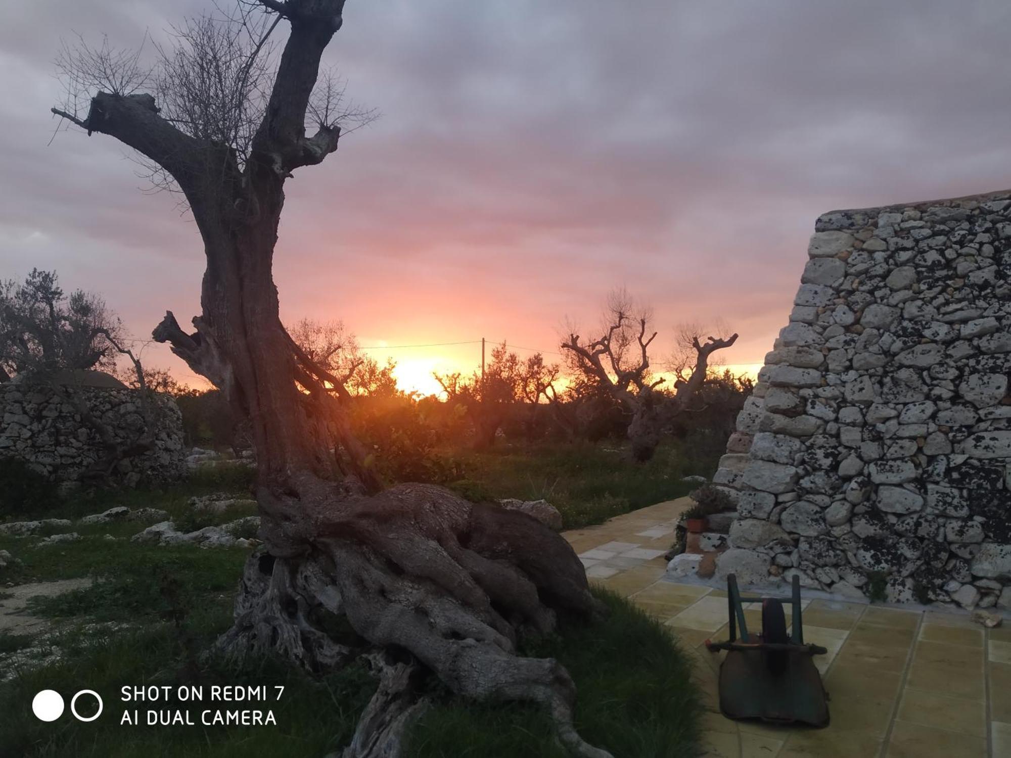 Apartamento La Nicchia-Trullo Corigliano dʼOtranto Exterior foto